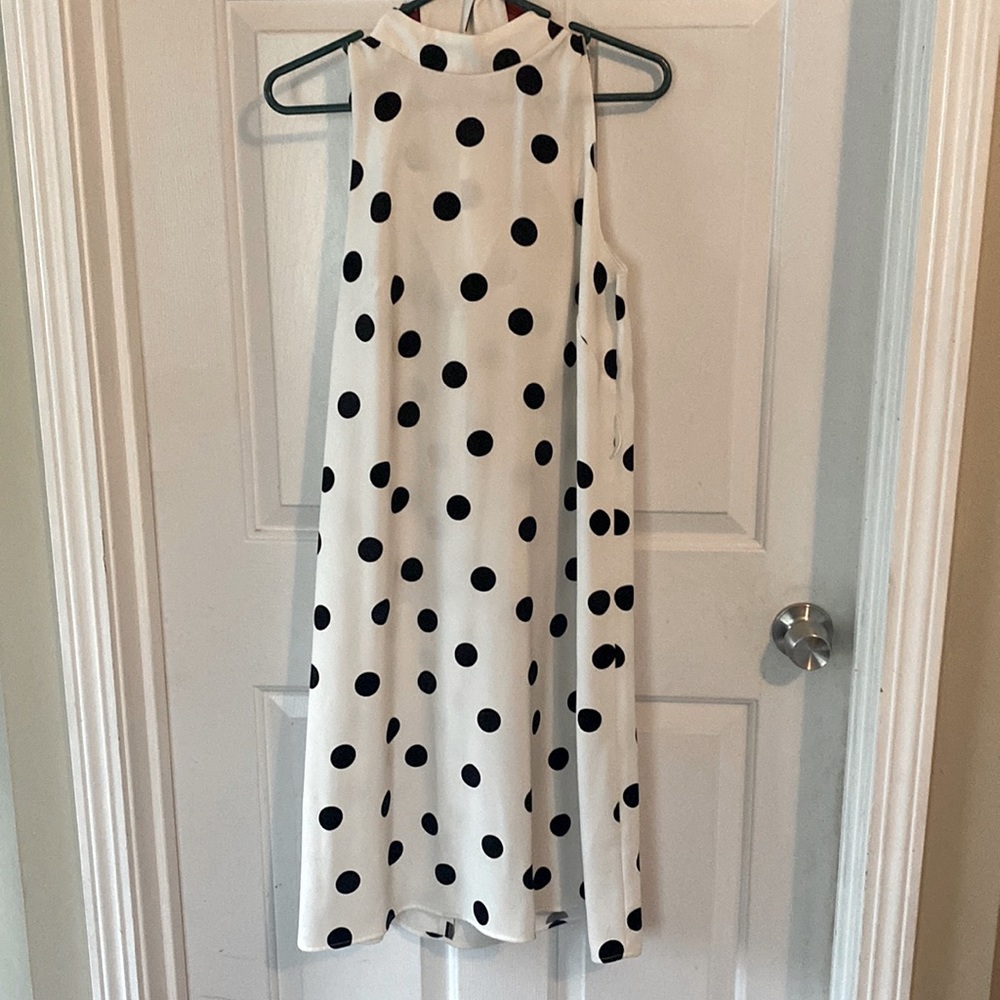 Polka Dot Ann Taylor Dress
